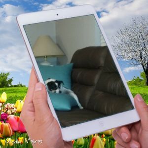 Meet your Posher, Barbara